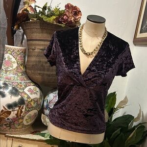 Luxurious Velvet V-Neck Blouse in Deep Purple